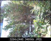 Dein bestes Foto, welches Du mit dem SGS2 gemacht hast ...-uploadfromtaptalk1315553172190.jpg