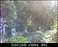 Dein bestes Foto, welches Du mit dem SGS2 gemacht hast ...-uploadfromtaptalk1315553204342.jpg