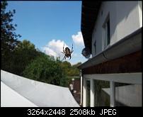 Dein bestes Foto, welches Du mit dem SGS2 gemacht hast ...-uploadfromtaptalk1316211113682.jpg