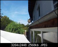 Dein bestes Foto, welches Du mit dem SGS2 gemacht hast ...-uploadfromtaptalk1316211734448.jpg