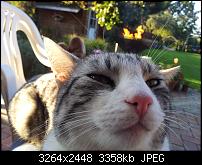 Kamera (Video- und Fotoqualität) von Galaxy S II-20111001_174804.jpg