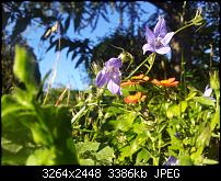 Kamera (Video- und Fotoqualität) von Galaxy S II-20111001_100903.jpg