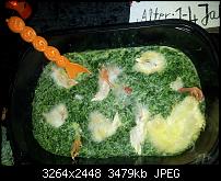 Kamera (Video- und Fotoqualität) von Galaxy S II-halloween3.jpg