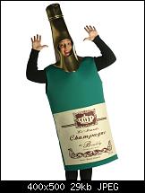 Kurze Frage Thread (für Anfänger und Ungeduldige)-champagner-flasche-kostuem.jpg