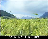 Kamera (Video- und Fotoqualität) vom Galaxy S III-20120611_120836.jpg