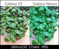 Galaxy S3 vs. Galaxy Nexus Kameraqualität-s3_vs_nexus_4.jpg
