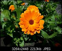 Kamera (Video- und Fotoqualität) vom Galaxy S III-20120617_115707.jpg