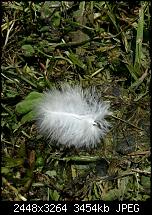 Kamera (Video- und Fotoqualität) vom Galaxy S III-20120617_122424.jpg