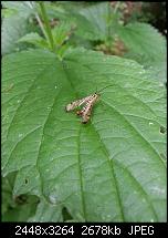 Kamera (Video- und Fotoqualität) vom Galaxy S III-20120617_123828.jpg