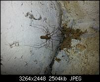 Kamera (Video- und Fotoqualität) vom Galaxy S III-20120617_125450.jpg