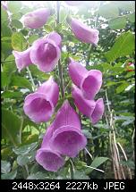 Kamera (Video- und Fotoqualität) vom Galaxy S III-20120617_145737.jpg