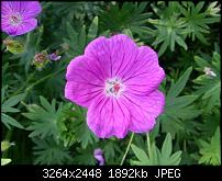 Kamera (Video- und Fotoqualität) vom Galaxy S III-20120617_175049.jpg