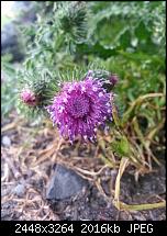 Kamera (Video- und Fotoqualität) vom Galaxy S III-20120619_190651.jpg