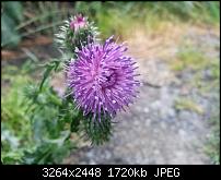 Kamera (Video- und Fotoqualität) vom Galaxy S III-20120619_190824.jpg