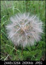 Kamera (Video- und Fotoqualität) vom Galaxy S III-20120619_191000.jpg