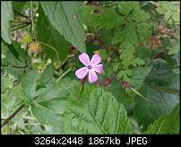 Kamera (Video- und Fotoqualität) vom Galaxy S III-20120619_181748.jpg