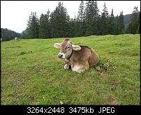 Kamera (Video- und Fotoqualität) vom Galaxy S III-dsc_0013.jpg