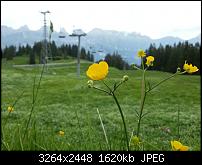 Kamera (Video- und Fotoqualität) vom Galaxy S III-dsc_0017.jpg