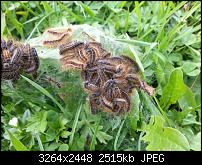 Kamera (Video- und Fotoqualität) vom Galaxy S III-dsc_0020.jpg