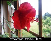 Kamera (Video- und Fotoqualität) vom Galaxy S III-20120624_190041-1-.jpg