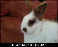 Kamera (Video- und Fotoqualität) vom Galaxy S III-20120628_154459.jpg