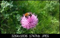 Kamera (Video- und Fotoqualität) vom Galaxy S III-20120629_182708.jpg