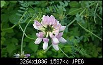 Kamera (Video- und Fotoqualität) vom Galaxy S III-20120629_183212.jpg