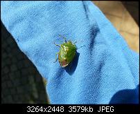 Kamera (Video- und Fotoqualität) vom Galaxy S III-20120630_104851.jpg