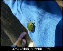 Kamera (Video- und Fotoqualität) vom Galaxy S III-20120630_104859.jpg