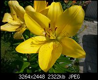 Kamera (Video- und Fotoqualität) vom Galaxy S III-20120630_161545.jpg