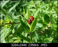 Kamera (Video- und Fotoqualität) vom Galaxy S III-20120630_162754.jpg