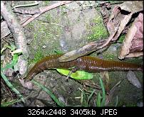 Kamera (Video- und Fotoqualität) vom Galaxy S III-20120630_164539.jpg