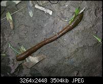 Kamera (Video- und Fotoqualität) vom Galaxy S III-20120630_164627.jpg