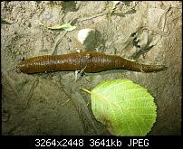 Kamera (Video- und Fotoqualität) vom Galaxy S III-20120630_164727.jpg