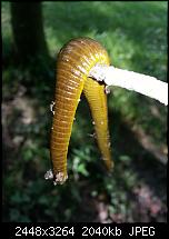 Kamera (Video- und Fotoqualität) vom Galaxy S III-20120630_164757.jpg