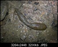 Kamera (Video- und Fotoqualität) vom Galaxy S III-20120630_164843.jpg