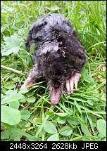 Kamera (Video- und Fotoqualität) vom Galaxy S III-20120630_171616.jpg