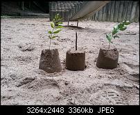 Kamera (Video- und Fotoqualität) vom Galaxy S III-20120630_175024.jpg