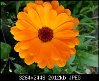 Kamera (Video- und Fotoqualität) vom Galaxy S III-20120630_180354.jpg