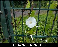 Kamera (Video- und Fotoqualität) vom Galaxy S III-imageuploadedbytapatalk1341258937.560737.jpg