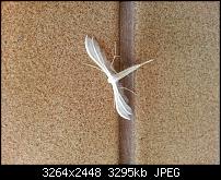 Kamera (Video- und Fotoqualität) vom Galaxy S III-20120703_094003.jpg