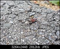 Kamera (Video- und Fotoqualität) vom Galaxy S III-20120703_154924.jpg