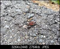 Kamera (Video- und Fotoqualität) vom Galaxy S III-20120703_155030.jpg