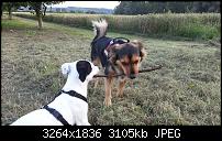 Kamera (Video- und Fotoqualität) vom Galaxy S III-20120703_200712.jpg