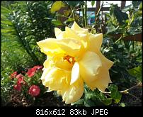 Kamera (Video- und Fotoqualität) vom Galaxy S III-uploadfromtaptalk1341417757122.jpg