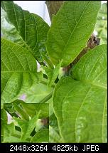 Kamera (Video- und Fotoqualität) vom Galaxy S III-bild3.jpg