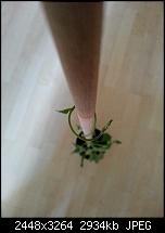 Kamera (Video- und Fotoqualität) vom Galaxy S III-20120708_164013.jpg