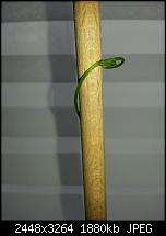 Kamera (Video- und Fotoqualität) vom Galaxy S III-20120708_165459.jpg