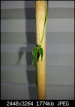 Kamera (Video- und Fotoqualität) vom Galaxy S III-20120708_170623.jpg