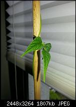 Kamera (Video- und Fotoqualität) vom Galaxy S III-20120708_170355.jpg